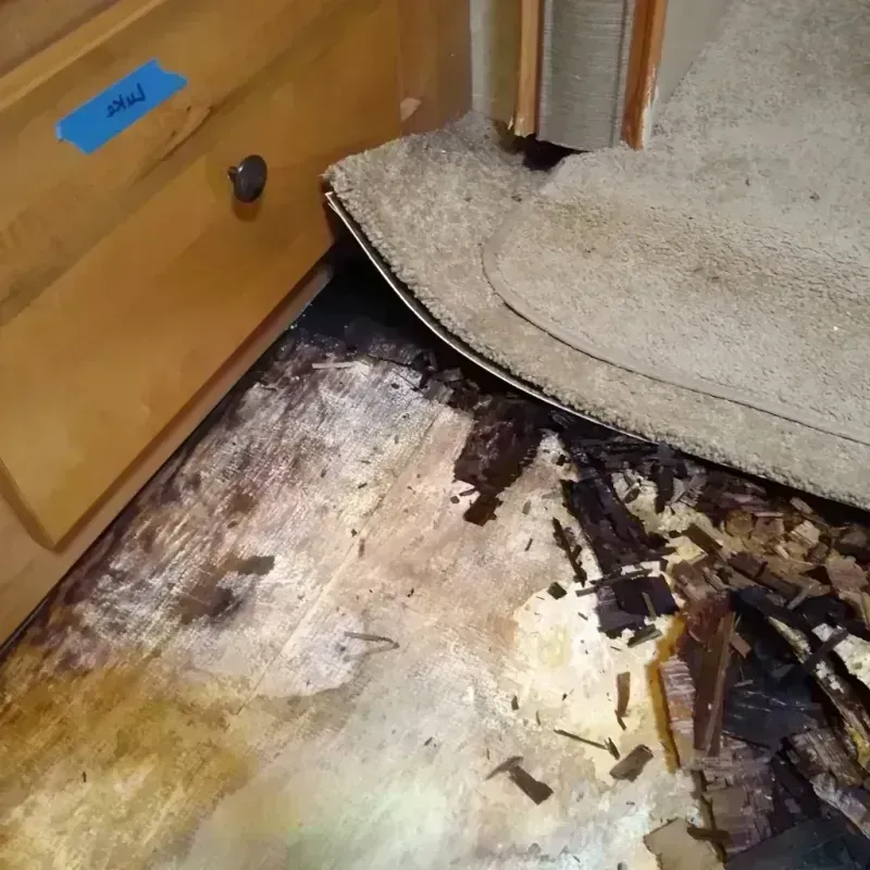 Wood Floor Water Damage in Bradley Gardens, NJ